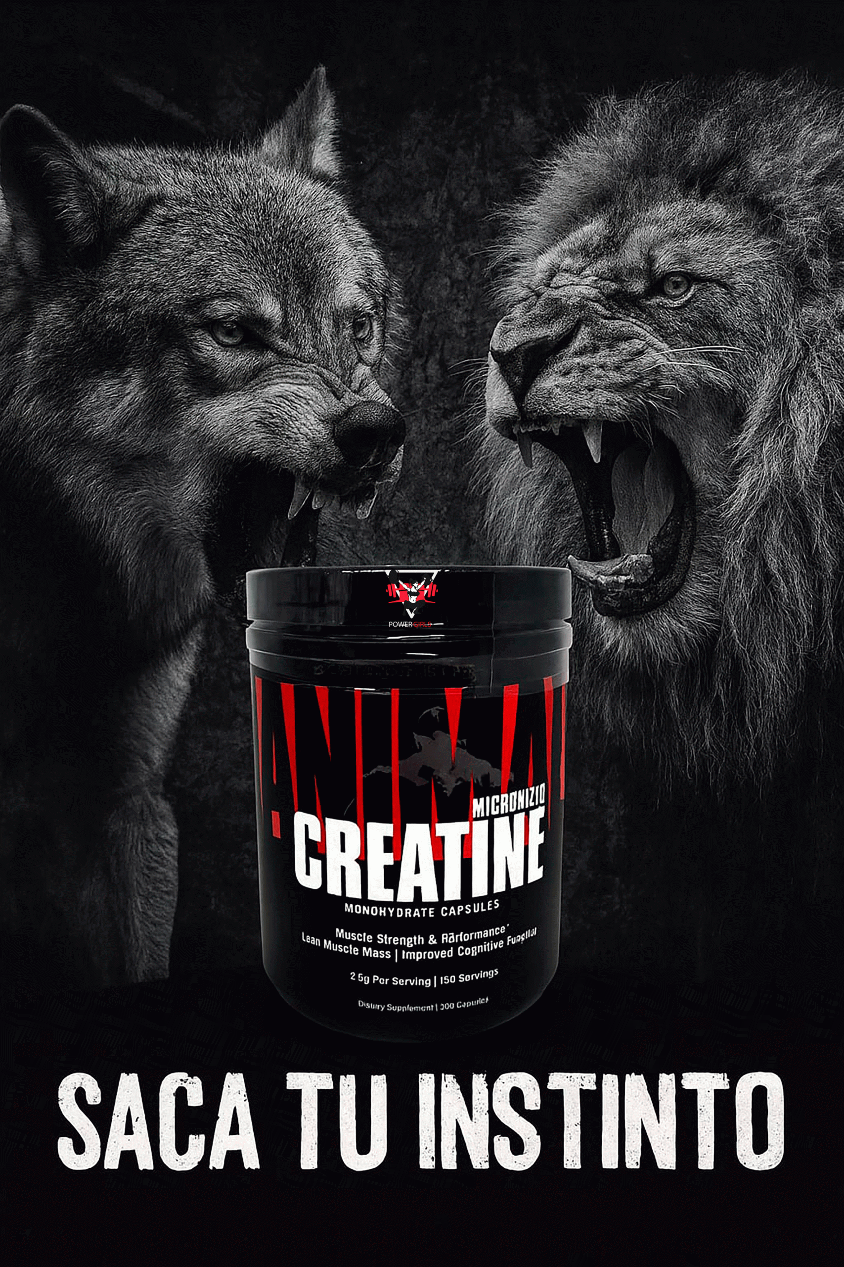 CREATINA - MICRONIZED CREATINE - ANIMAL - Imagen 3